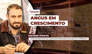 Mateus Pivato - Diretor Executivo da Associação Brasileira de Angus e Ultrablack