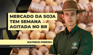 Matheus Pereira - Sócio-Diretor da Pátria Agronegócios