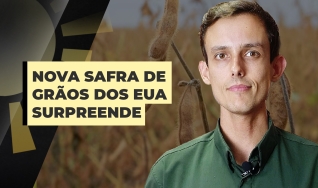 Matheus Pereira - Sócio-Diretor da Pátria Agronegócios
