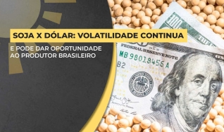 Matheus Pereira - Sócio-Diretor da Pátria Agronegócios