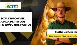 Matheus Pereira - Sócio-Diretor da Pátria Agronegócios