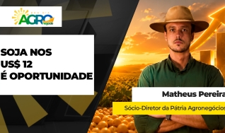 Matheus Pereira - Sócio-Diretor da Pátria Agronegócios