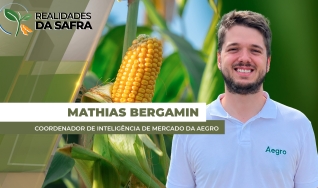 Mathias Bergamin - Coordenador de Inteligência de Mercado da Aegro