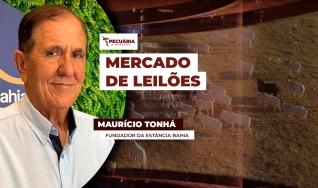 Maurício Tonhá