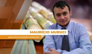 Maurício Muruci - Analista da Safras & Mercado