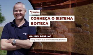 Maurel Behling - Pesquisador na Embrapa Agrossilvipastoril