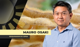 Mauro Osaki - Pesquisador do Cepea