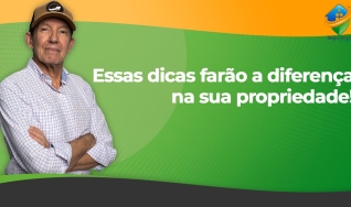 Carlos Zumerle - Especialista em segurança do agronegócio