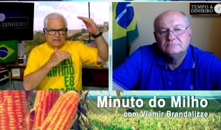 Vlamir brandalizze