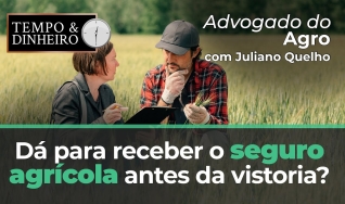 Tempo e dinheiro