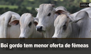 Tempo & Dinheiro - Com Sérgio Braga