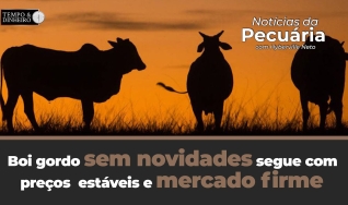 Tempo e dinheiro