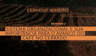 CERRADO MINEIRO 50 ANOS - EP 2: Sistema Organizacional e sua importância para o avanço do café