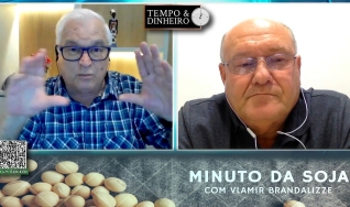 Soja pressionada pela Paz