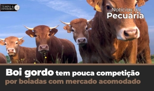 Tempo e Dinheiro