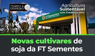 Produtividade com a FT Sementes