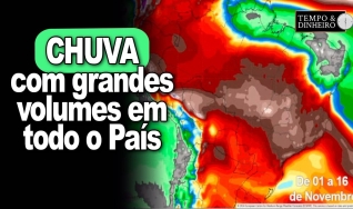 T&D