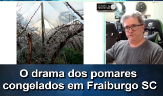 Tempo e Dinheiro, com João Batista Olivi