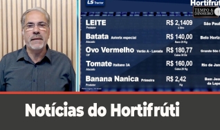 Tempo e Dinheiro