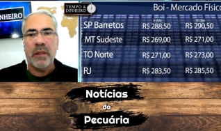 Tempo e Dinheiro