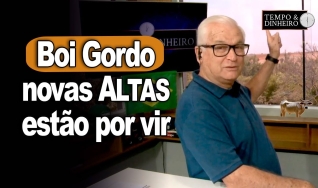 Tempo & Dinheiro