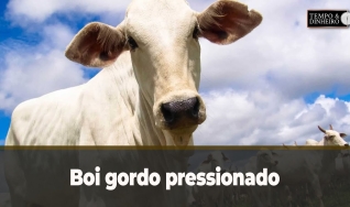 Tempo & Dinheiro