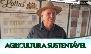 Tempo e Dinheiro