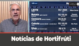 Tempo e Dinheiro