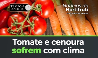 Tempo e Dinheiro