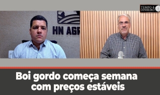 Tempo e Dinheiro
