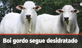 Tempo e Dinheiro