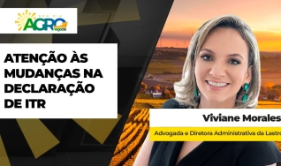 Viviane Morales - Advogada e Diretora Administrativa da Lastro