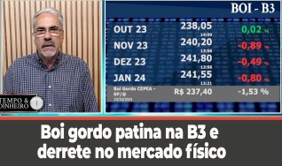 Tempo e Dinheiro