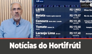 Tempo e Dinheiro