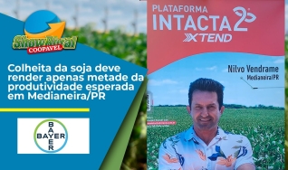Nilvo Vendrame - Produtor Rural em Medianeira/PR