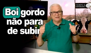Tempo & Dinheiro