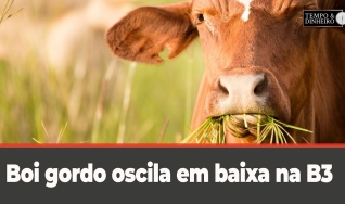 Tempo e Dinheiro