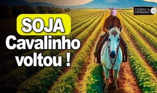 Tempo & Dinheiro