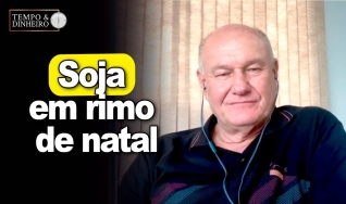 Vlamir Brandalizze