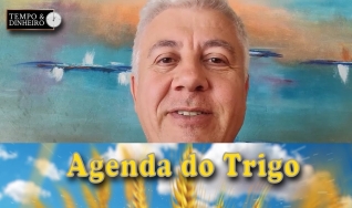 Marcelo De Baco