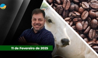 Fechamento de Mercado - Com Aleksander Horta