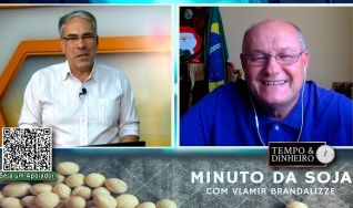 Soja a caminho dos US$ 13,50 em Chicago