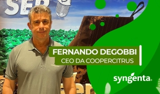 Fernando Degobbi