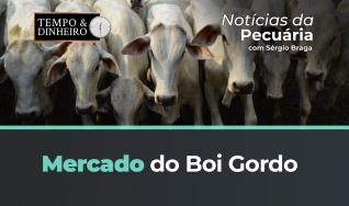 Sérgio braga