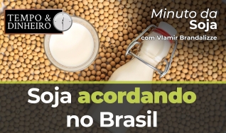 Tempo & Dinheiro