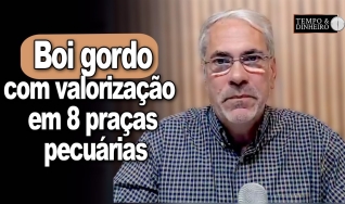 Tempo & Dinheiro