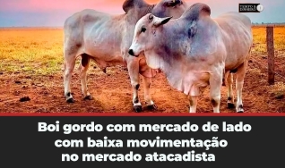 Tempo & Dinheiro