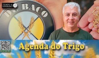 A semana inicia com liquidações...