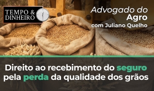 Tempo e dinheiro