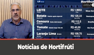 Tempo & dinheiro